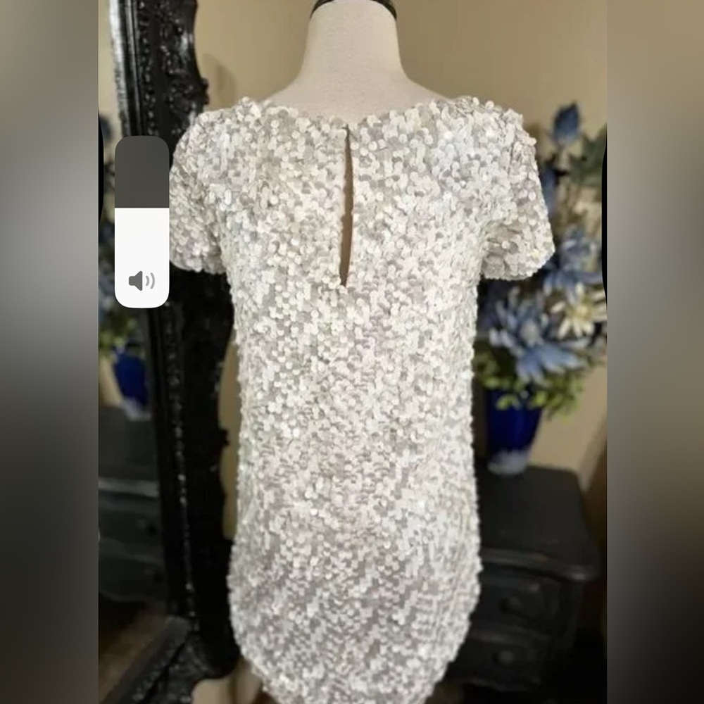 Taylor Swift Swifty French Connection Silver Snow Sequins Mini Dress